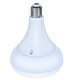 E27 LED Bulb 36w