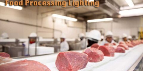 Meat food processing lighting LED
