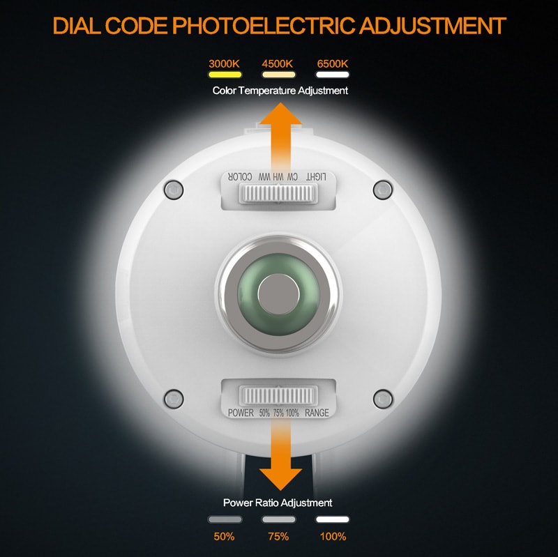 CCT Power adjustable bulb 100w